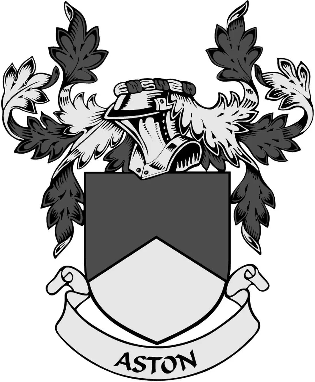 Aston crest arms magnet with black shield and banner reading ASTON