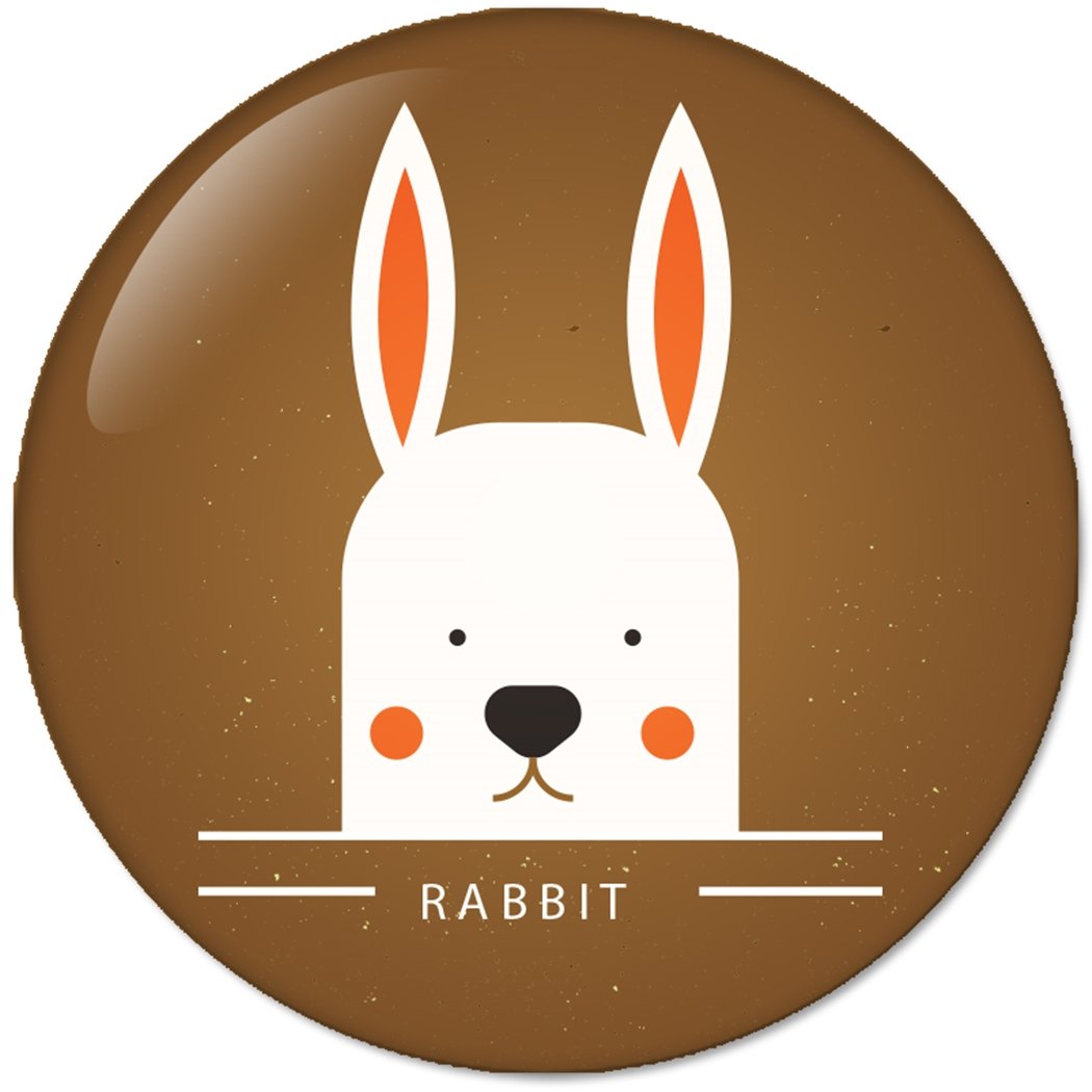 Cute Animal Faces RABBIT : Pinback Buttons 2.25 Inch (58mm)
