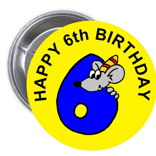 Birthday 6 Year Old Birthday Pinback 10 Pcs Button 2.25"