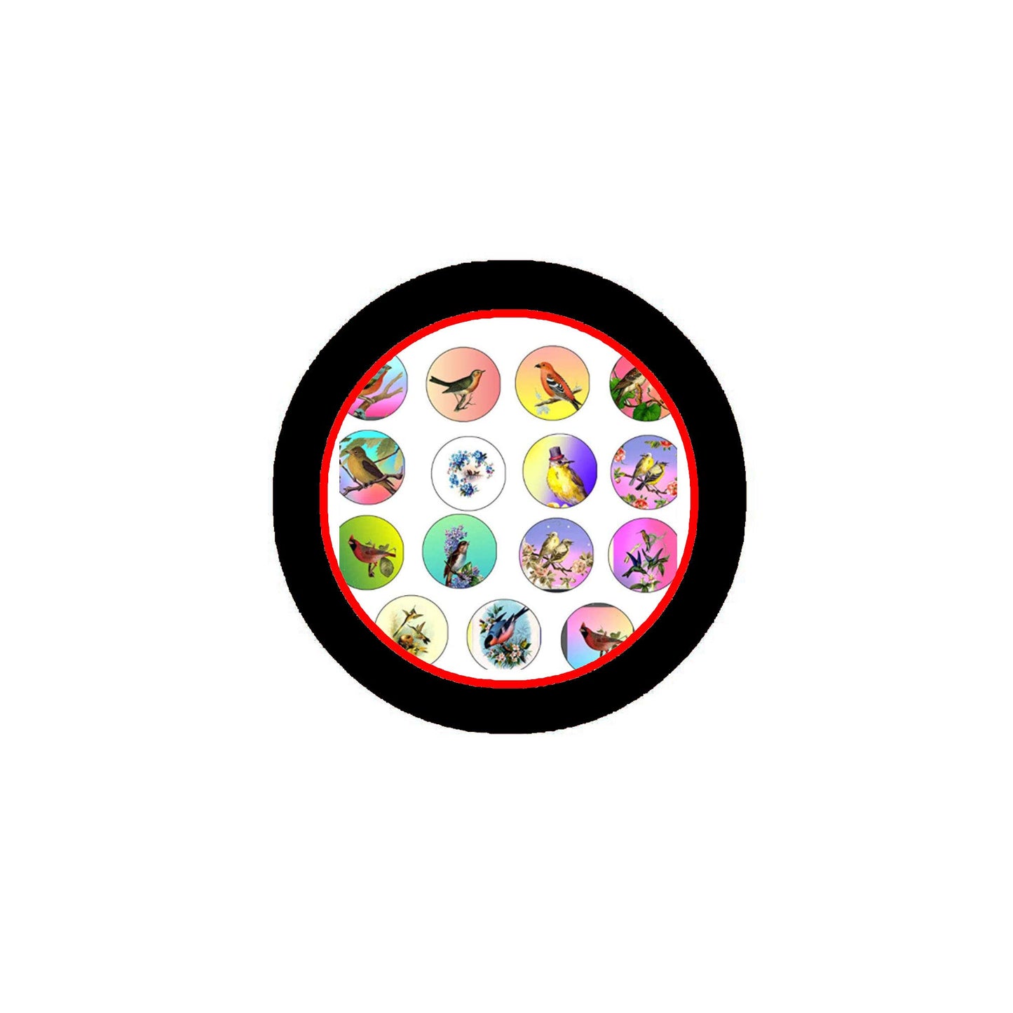 20 Pcs Vintage Oriental Wild Birds Retro Art Pinbacks for Jackets, Backpacks, etc.