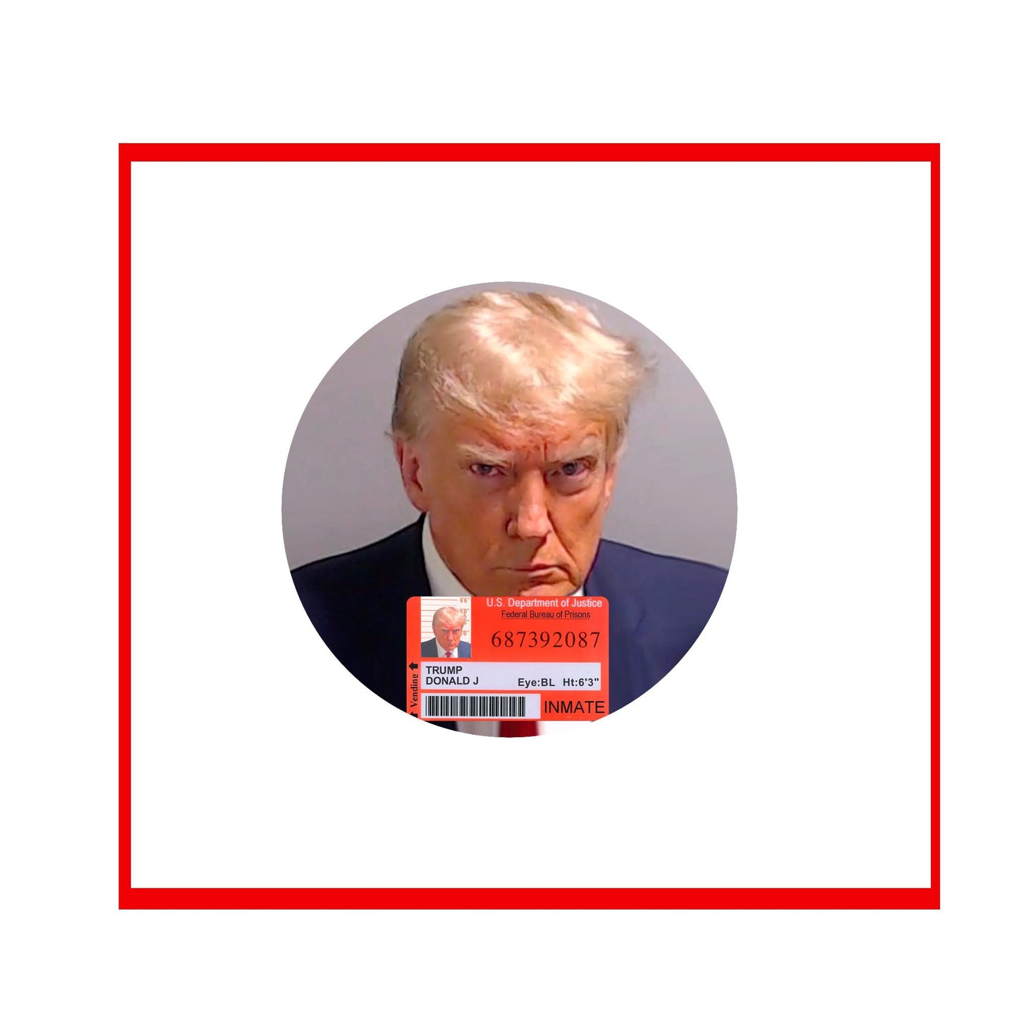 Anti Trump Political Campaing Pinback Button Badge 1.25"