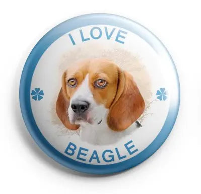 Beagle pinback button badge with beagle portrait and 'I LOVE BEAGLE' text