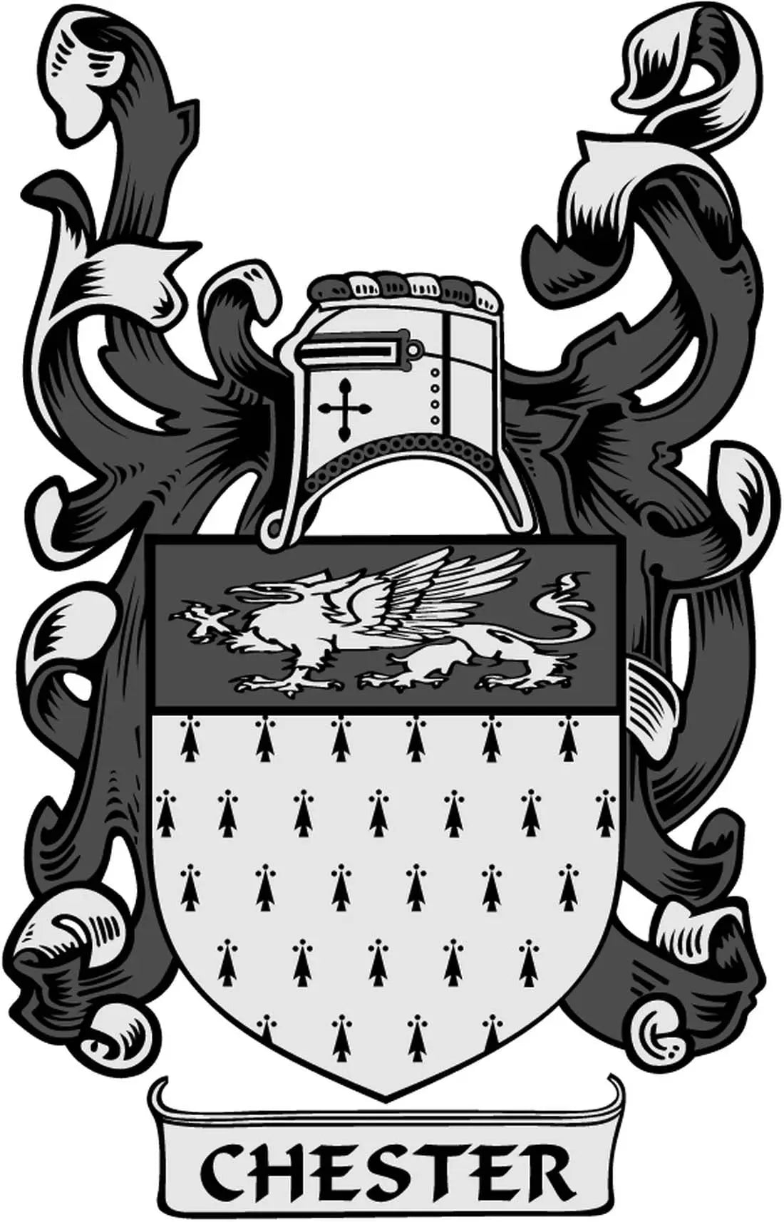 Chester family crest coat of arms magnet with shield and 'CHESTER' text