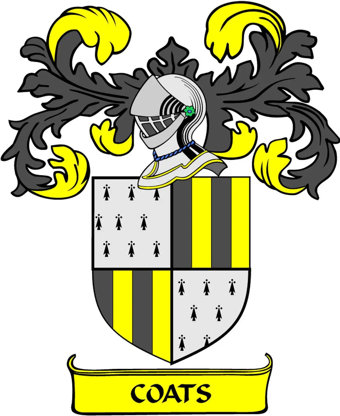 Family crest coat arms magnet with yellow/black shield and 'COATS' ribbon