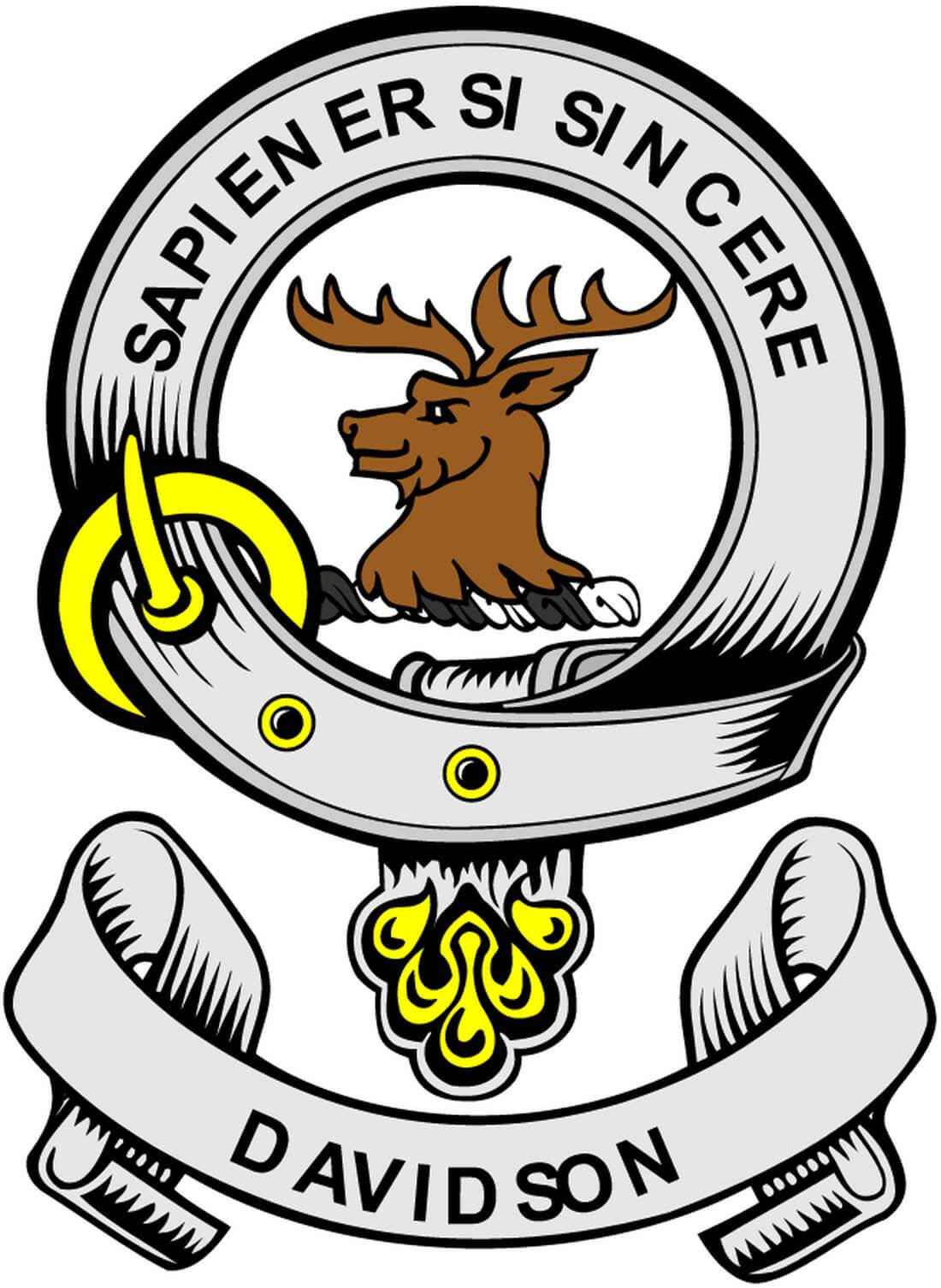 Davidson 2 Family Crest 3" Coat of Arms Round Magnet