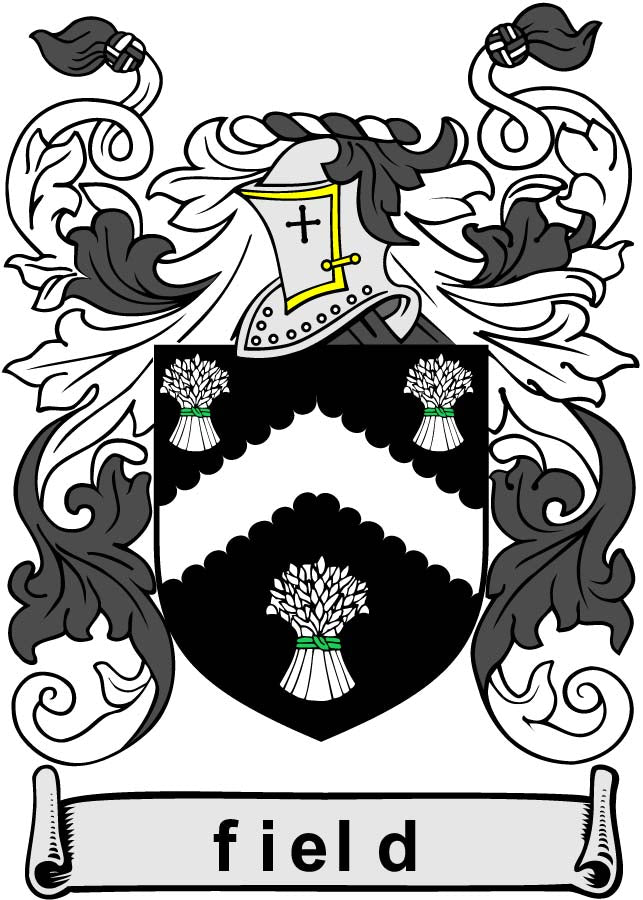 Field Family Crest 3" Coat of Arms Round Magnet