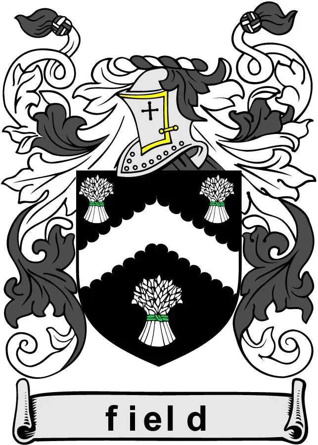 Field family crest arms magnet with black shield, gold crown, and tree-and-banner design