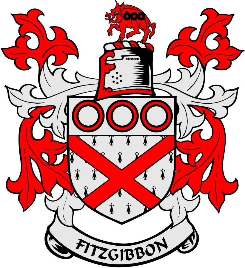 Fitzgibbon family crest coat of arms magnet, red and white shield with crown