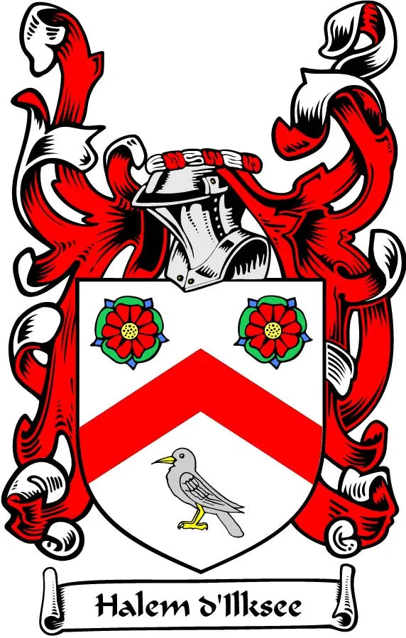 Coat of arms pinback: red and black shield with bird, flowers, and banner text Halem 'llksee