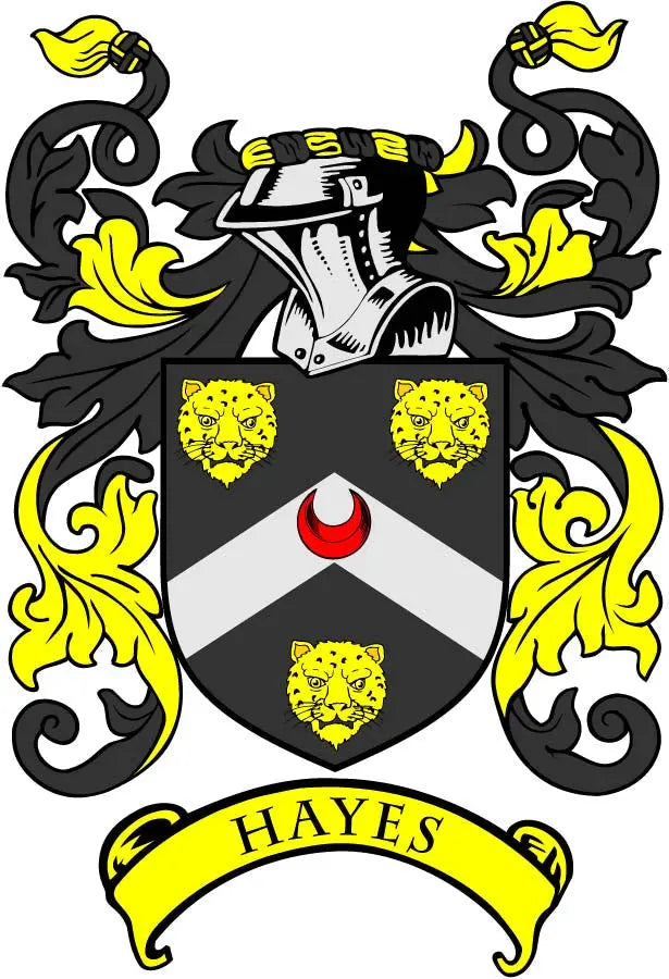 Hayes coat of arms pinback with shield crest, yellow lions, and ribbon reading HAYES