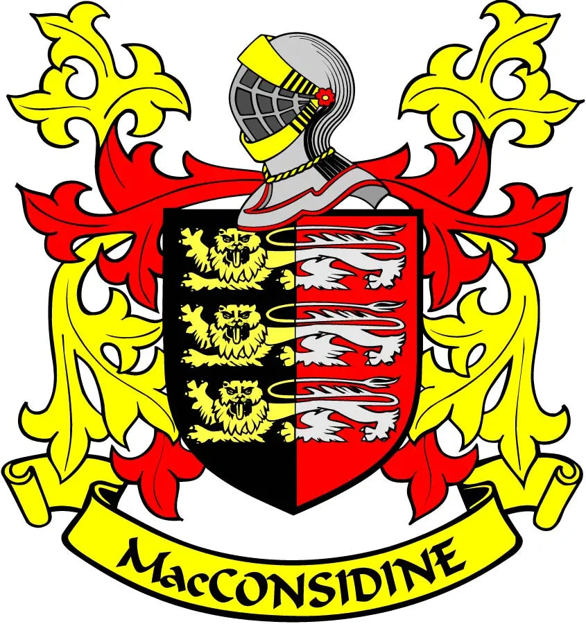 Family crest pinback badge with shield, red and black stripes, lion details, yellow banner