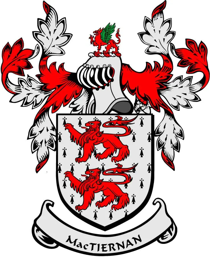 Family crest coat arms magnet with red and white lions and shield design