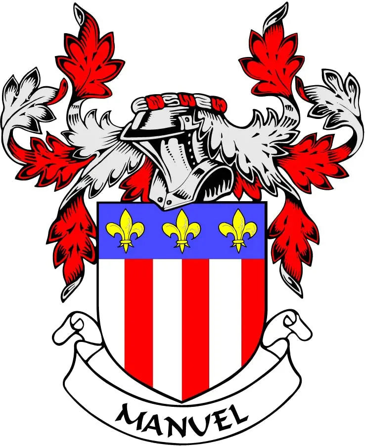 Family crest coat of arms pinback with red-and-white shield and fleur-de-lis accents