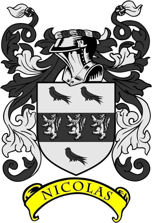 Nicolas family crest pinback badge, black and white coat of arms with yellow "NICOLAS" banner