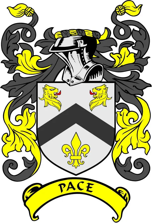 3-inch Pace family crest arms magnet with black, white, and yellow shield design