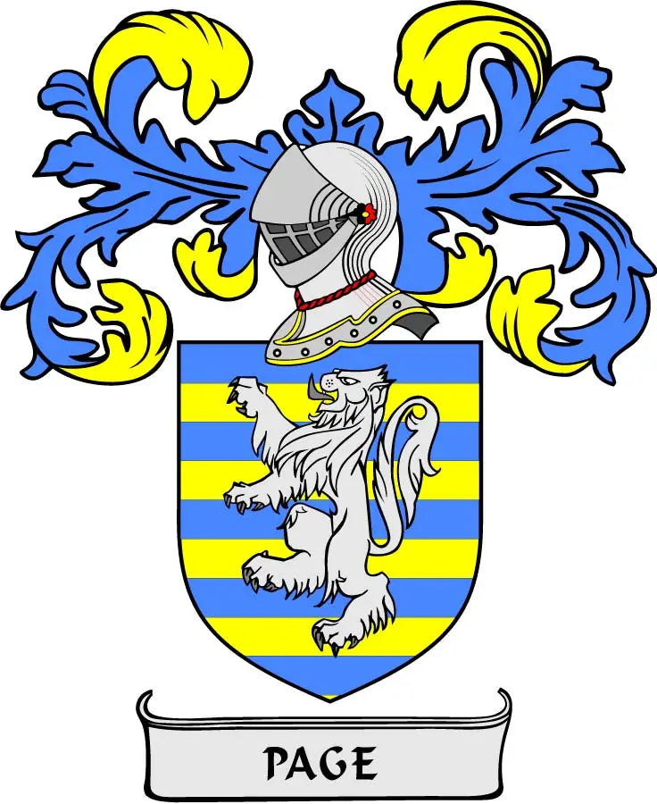3-inch coat of arms pinback with blue-yellow shield, helmet figure, and PAGE banner