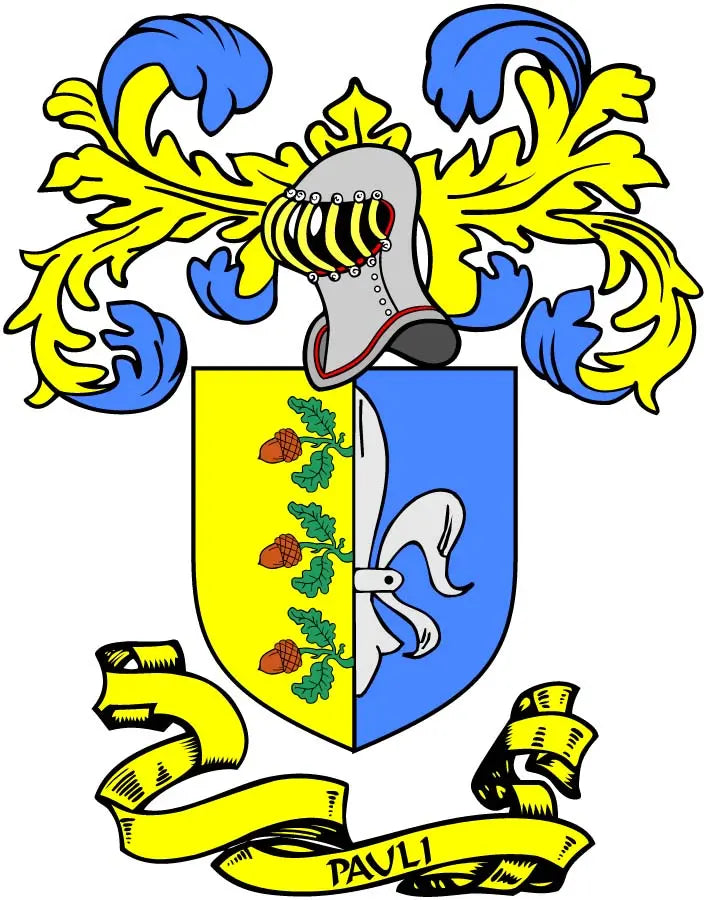Family crest coat of arms magnet, shield with blue and yellow design and ribbon banner