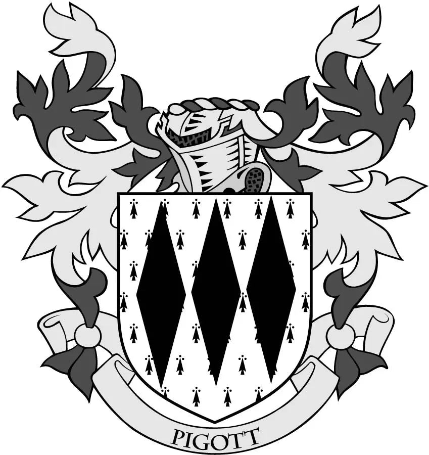 Pigott family crest arms magnet with flame wreath and patterned shield, PIGOTT text