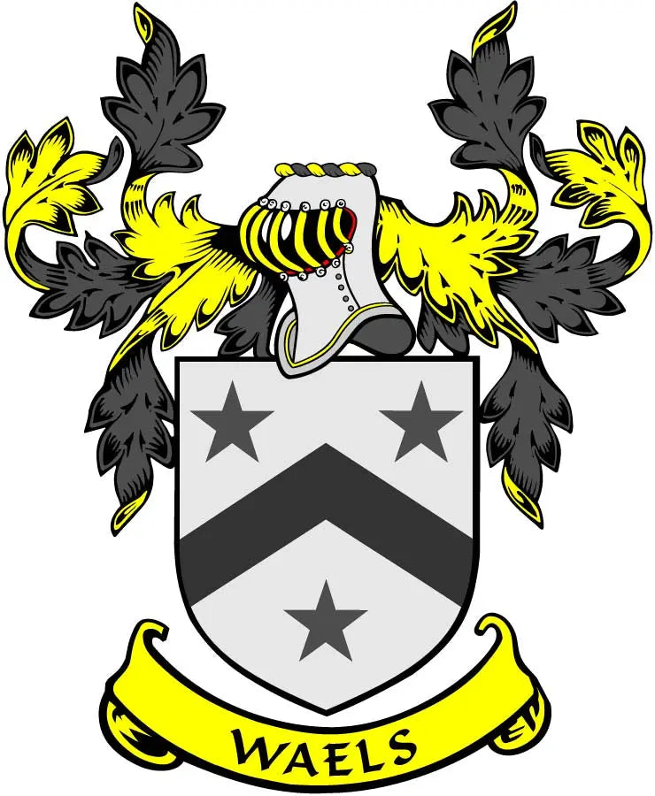 Waels crest coat of arms magnet with shield, stars, black and yellow laurel, WAELS banner.