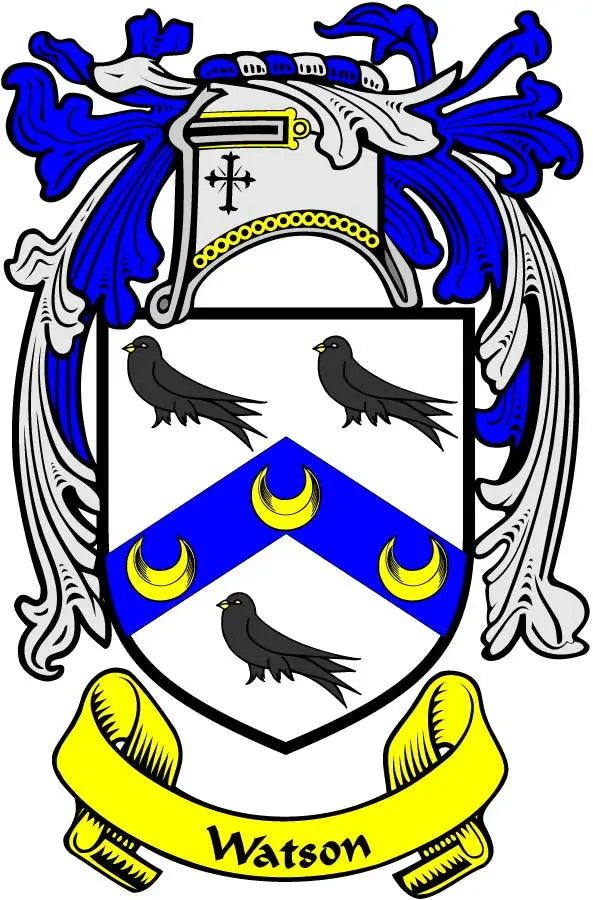 Family crest coat of arms magnet: shield with blue flames, birds, and gold banner