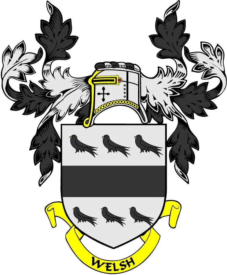 Welsh family crest coat-of-arms magnet with shield, wings, and Welsh ribbon, yellow and black
