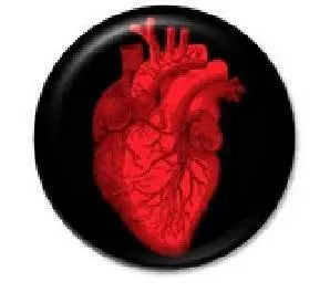 Round black heart pinback button with red anatomical heart illustration