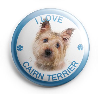 Cairn Terrier Pinback Buttons Badges (I Love Dogs Series) Size 1.25-inch Buttons Default Title