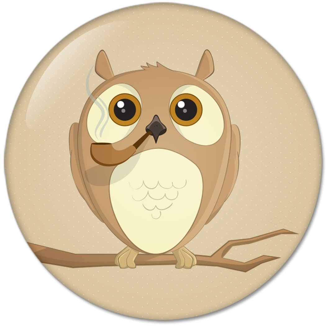 Coloured Animal OWL : Pinback Buttons 1.25 Inch (32mm)
