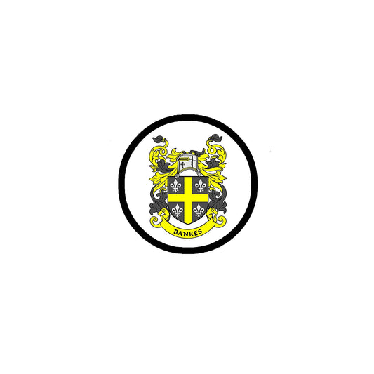 Bankes Family Crest 3" Coat of Arms Fridge Round Magnet