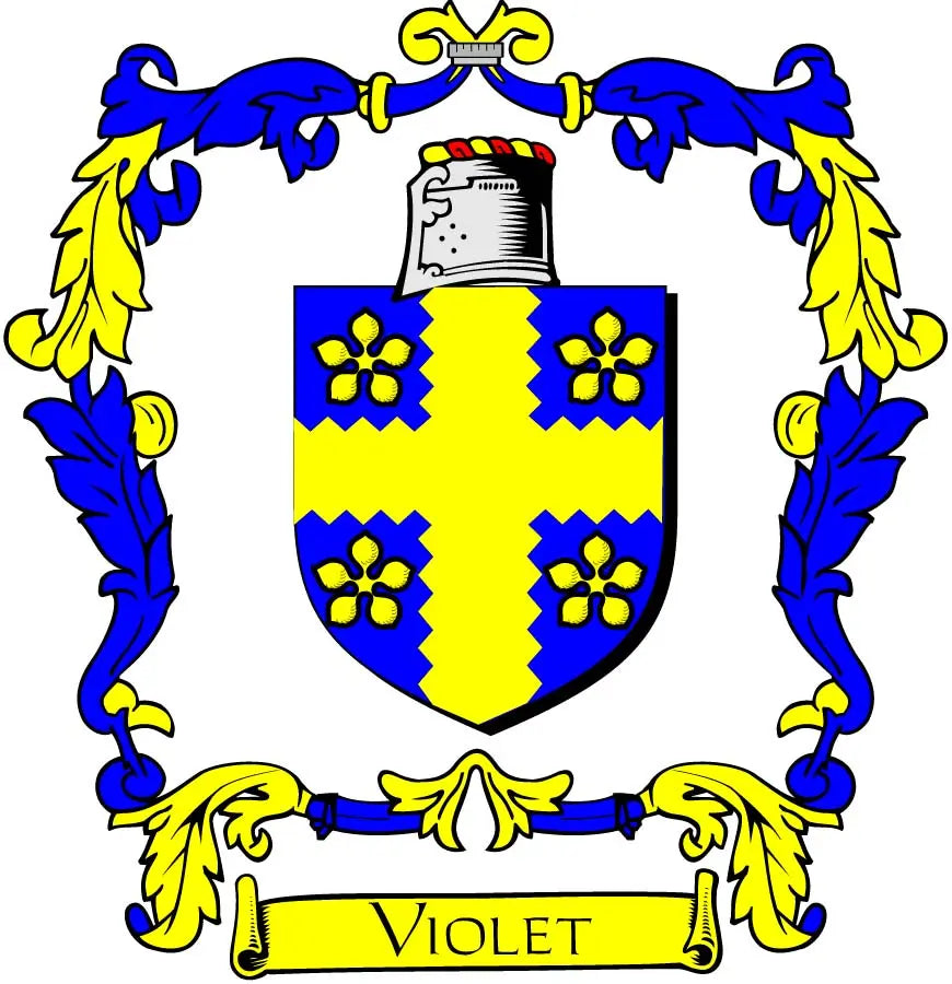 Violet coat of arms magnet with blue and yellow shield and 'VIOLET' banner