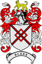 Round pinback crest pin with red, black, white family shield and BLAKE banner