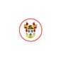 Round coat of arms enamel pinback with red border and Abden crest shield