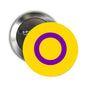 Pride flag pinback with yellow background and purple intersex ring emblem, 2.25-inch