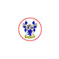 Round pinback badge with blue-and-white family crest inside red border