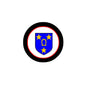 Round pinback badge with black border, red ring, blue shield, yellow stars and trophy