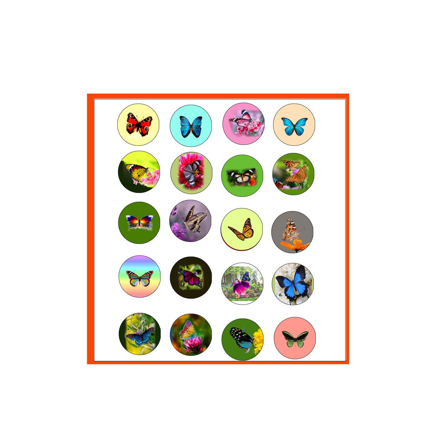 20 Pcs Gorgeous Butterflies Colorful Pinbacks Default Title