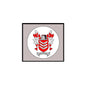 Armstrong family crest arms magnet with shield and red lions, round badge on square backing