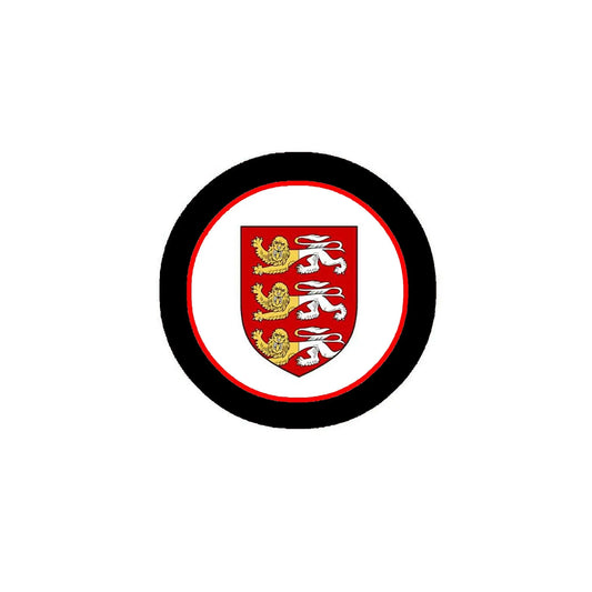 O'Brien 3-inch Coat of Arms Round Pinback Badge Brooch Pin Back Default Title