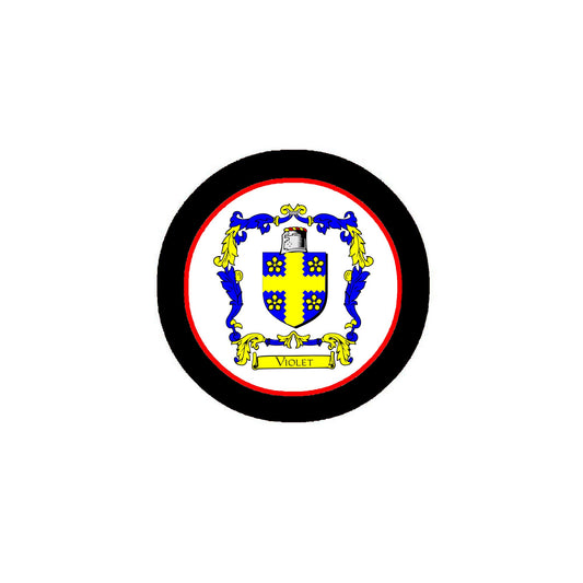 Violet Family Crest 3" Coat of Arms Round Pinback Badge Brooch Pin Back