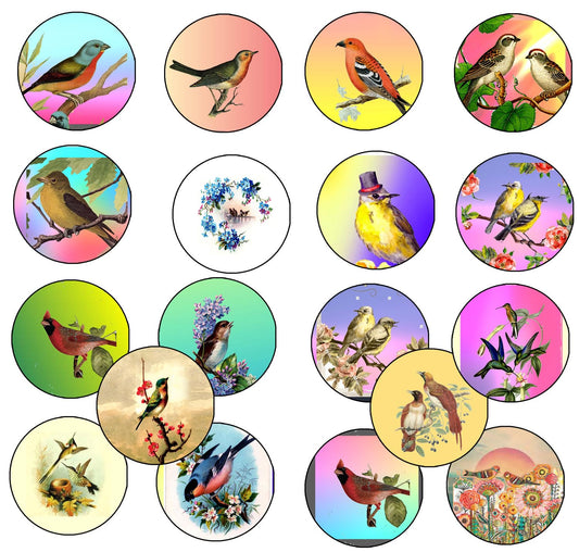 16 Pcs Vintage Oriental Birds Collection Button Pin MINI Pinback Brooch for Jackets, Backpacks, Hats 1.25"