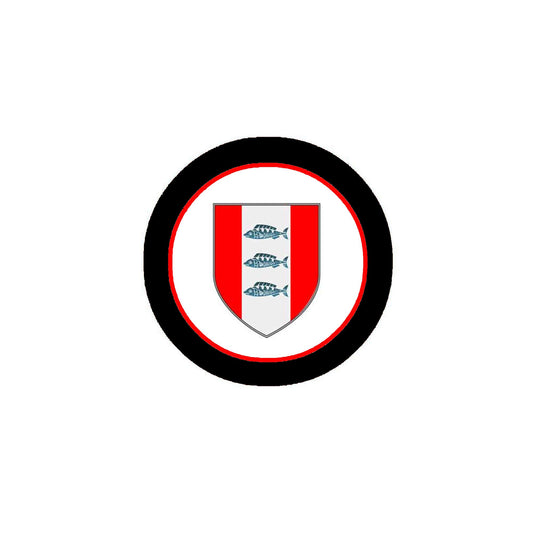 Delaney 3" Coat of Arms Fridge Round Magnet