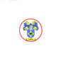Round red-rim crest pinback badge with blue and gold shield and VARIN banner