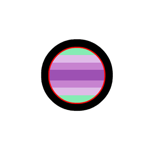 Femgender Pride Flag Pinback 2.25-inch Default Title