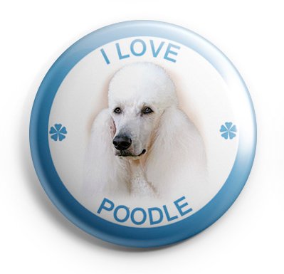 Poodle Pinback Buttons Badges (I Love Dogs Series) Size 1.25-inch Buttons Default Title
