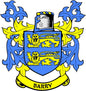Round pinback badge with blue shield, yellow lion, and 'BARRY' text