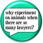 Green round pinback button with white speech bubble reading 'Why experiment on animals'.