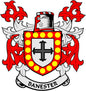 Banester family crest arms magnet with red shield, yellow dots, black cross