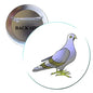 1.25-inch bird pinback button brooch with latch back, metal rim