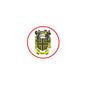 Round family crest pin with red border and Abbot coat of arms in black and yellow
