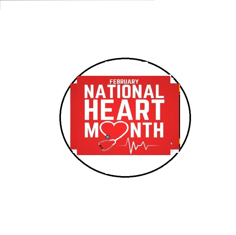 National Heart Month Pinback Button Pin Pinback Brooch 2.25-inch Default Title